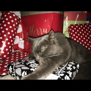 Meet your Posher, Randy